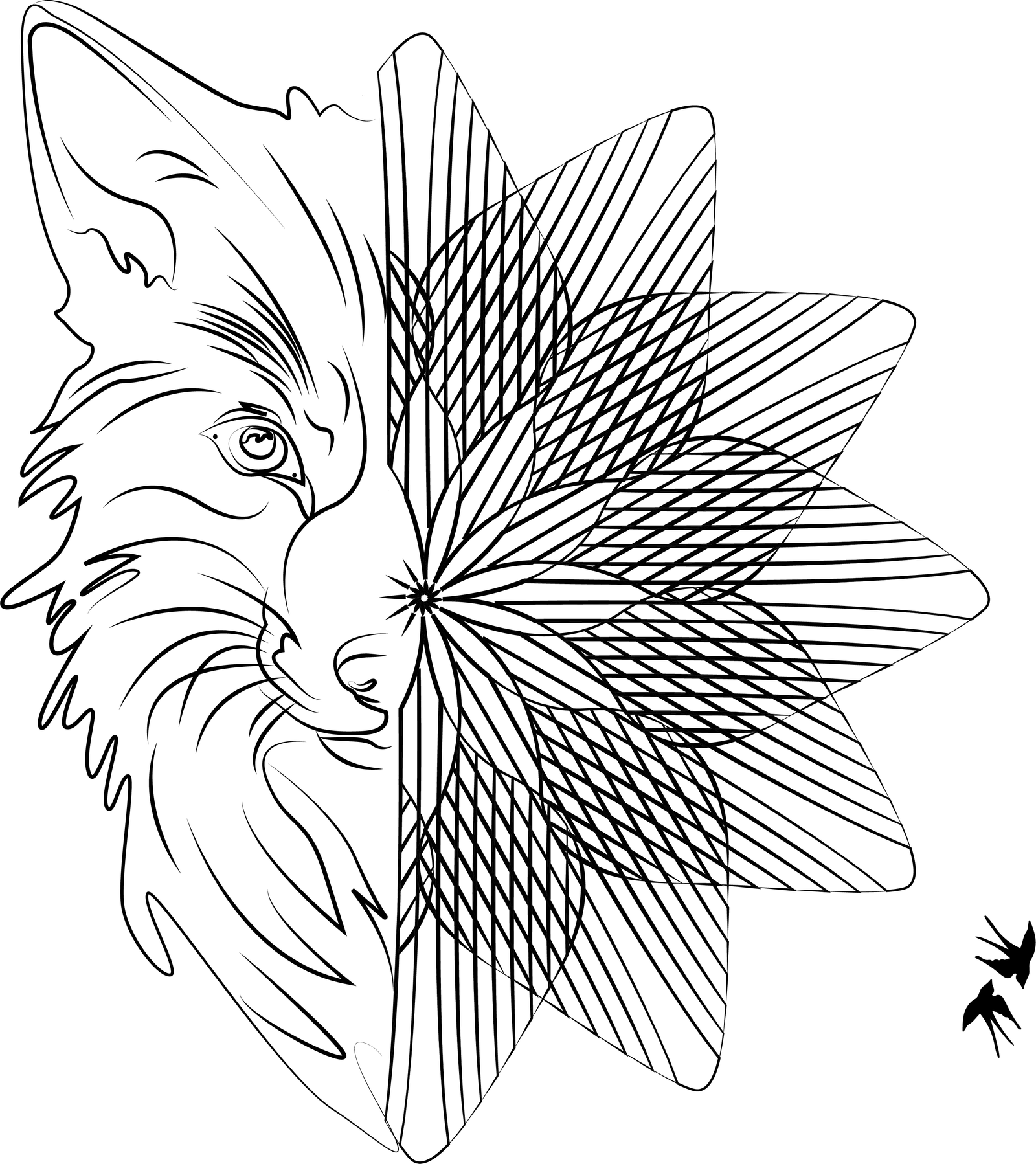 l effet d optique.png